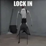 They don't fit our needs, lock in