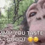 it taste like candy