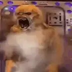 SHUT UPPPPPPPPPPPPPPP! (copy)