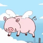 MA OOOOOOO PORCO ZIO HS