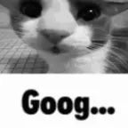 Goog