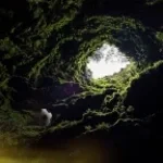 ollie neville tuff mom