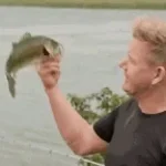 the fish