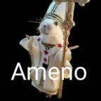 Ameno fast