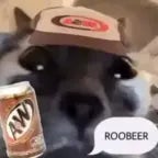 roobeer