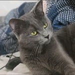 mc'n'roll speed up přemek forejt - Sound