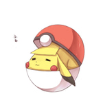 POKEMON Capture