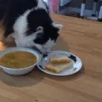 its so good... - Sound