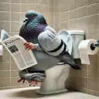 Dr Mohamed Leg Pain Sound 5