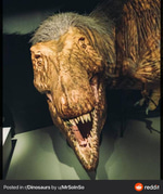 Creepy Trex Sound