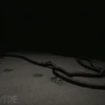 You Were never really nice... Were you DOCTOR NEWMAN.