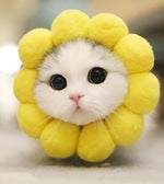 Ur pretty keep riding me