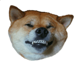 Sana Söz Yine Baharlar Gelecek