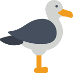 A moi Le monde de nemo