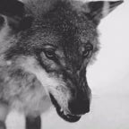 Recording 09/09/25 03:40:26