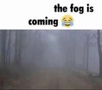 the fog is comming