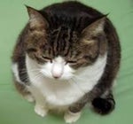 I was never book smart im money smart