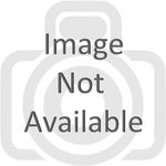 screech noise doors roblox