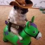 Мам я... - Sound