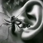 Hyperbaiter - Balls Balls Balls Balls p2