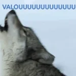 fait le loup très méchant