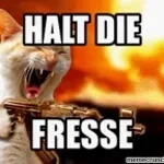 kriegst-eine-auf-die-fresse!!!!!!-made-with-Voicemod