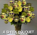 DEEZ NUTSS sonic.exe final escape kirbo mix