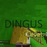 Ander Dingusphonk