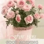 wifiskell oh yeah tag