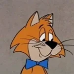 Narancs a köhögésre