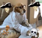 salamale komaleko ssallah assellesellesellahh balPMMMMMMMMMM...