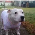 im not that innocent