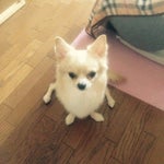 the rock raised eyebrow meme sound