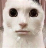 I Am the Danger Cornered Breaking Bad - Sound