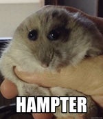 doom the only thing they fear is you mp3