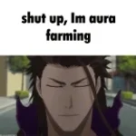 AGORA CHEGOU MINHA HORA DE FARMAR AURA