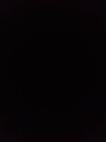 Crazy Jamaican Lady Cursing Son (320 kbps)