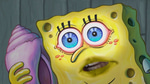 Short Victory Screech