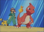 Meeee - Charmeleon Pokemon