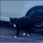 Texting by leverfall