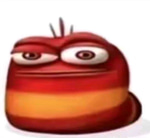 oi oi oi