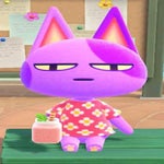 whats the prob dog - Sound