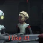 bad-to-the-bone (copy)