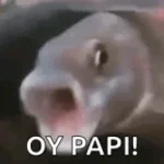 papi