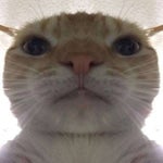 sfx for roblox intro