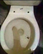 NoPixel Officer Down sound