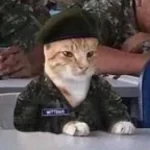 sapne such hojate hai