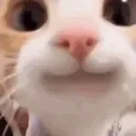 happy-happy-happy-song