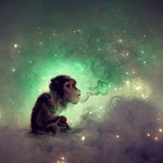 Eminem Without Me (Official Music Video) - Sound