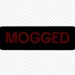 mogged